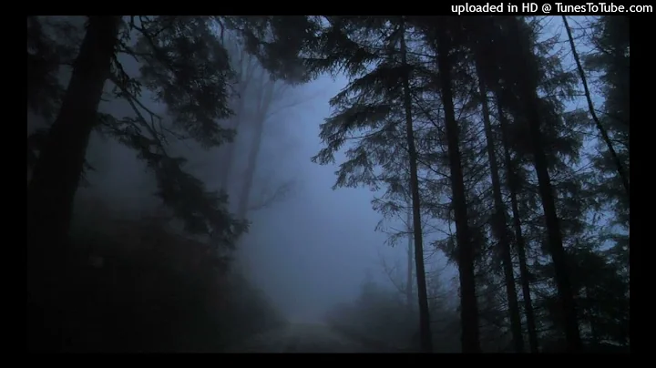 found this in a forest