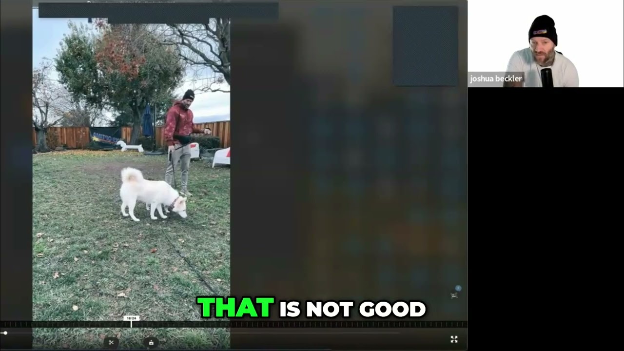 Mastering Dog Behavior: Understanding Canine Interactions