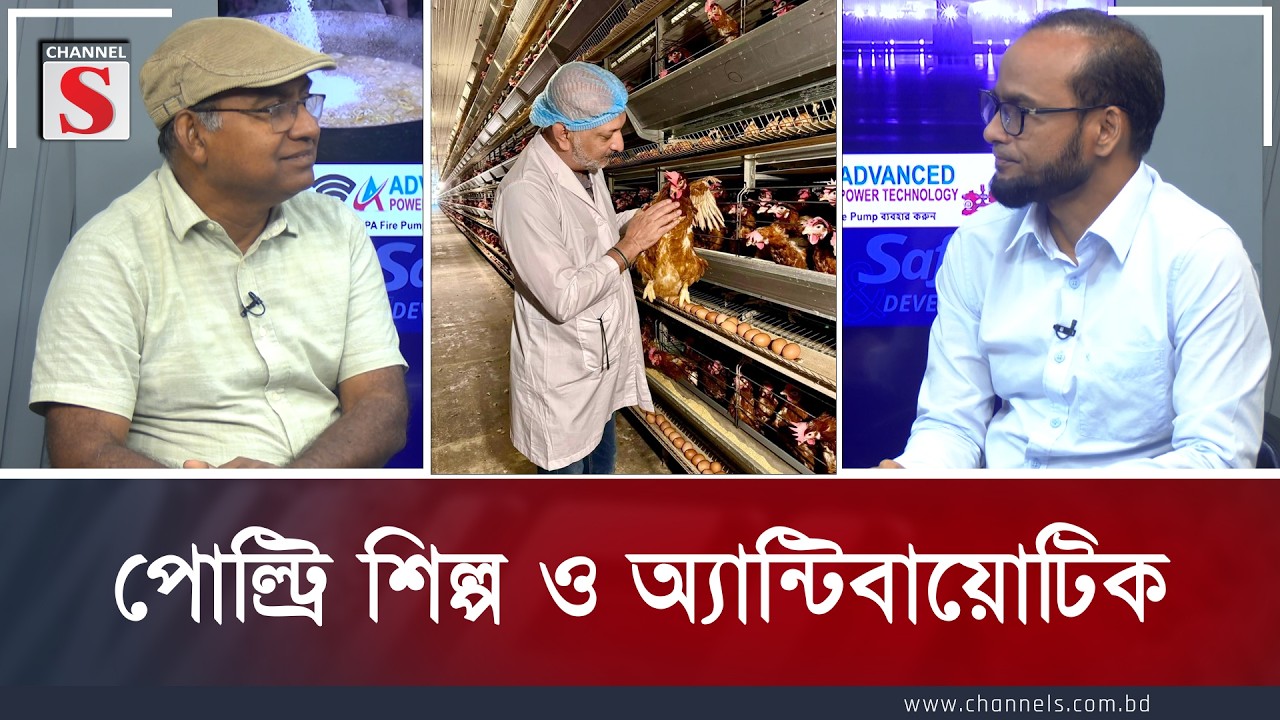 পোল্ট্রি শিল্প ও অ্যান্টিবায়োটিক | Poultry Industry & Antibiotics|  | Channel S