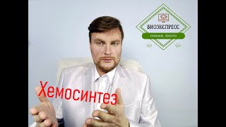 Хемосинтез. ЕГЭ Биология. ЕГЭ 2022.