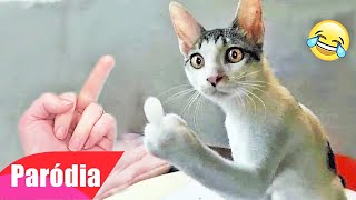 VIDEOS ENGRAÇADOS DE ANIMAIS - TENTE NÃO RIR (COMPILADO DE COMÉDIA)