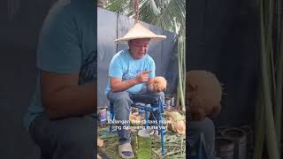 How to Remove Coconut Husk The Easy Way  (The science behind dehusking and opening a coconut..