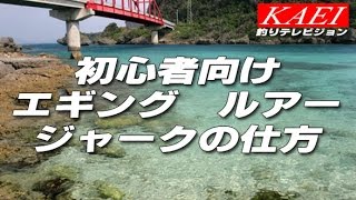 エギング シャクリ方と誘い方の種類 コツを参考動画付きで解説 釣りの人