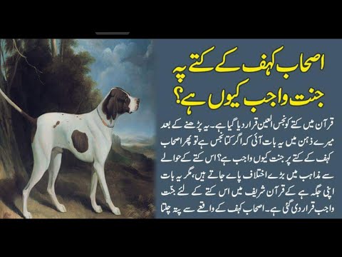 اصحاب کہف کے کتے پہ جنت واجب کیوں ہے؟|URDU |HINDI |