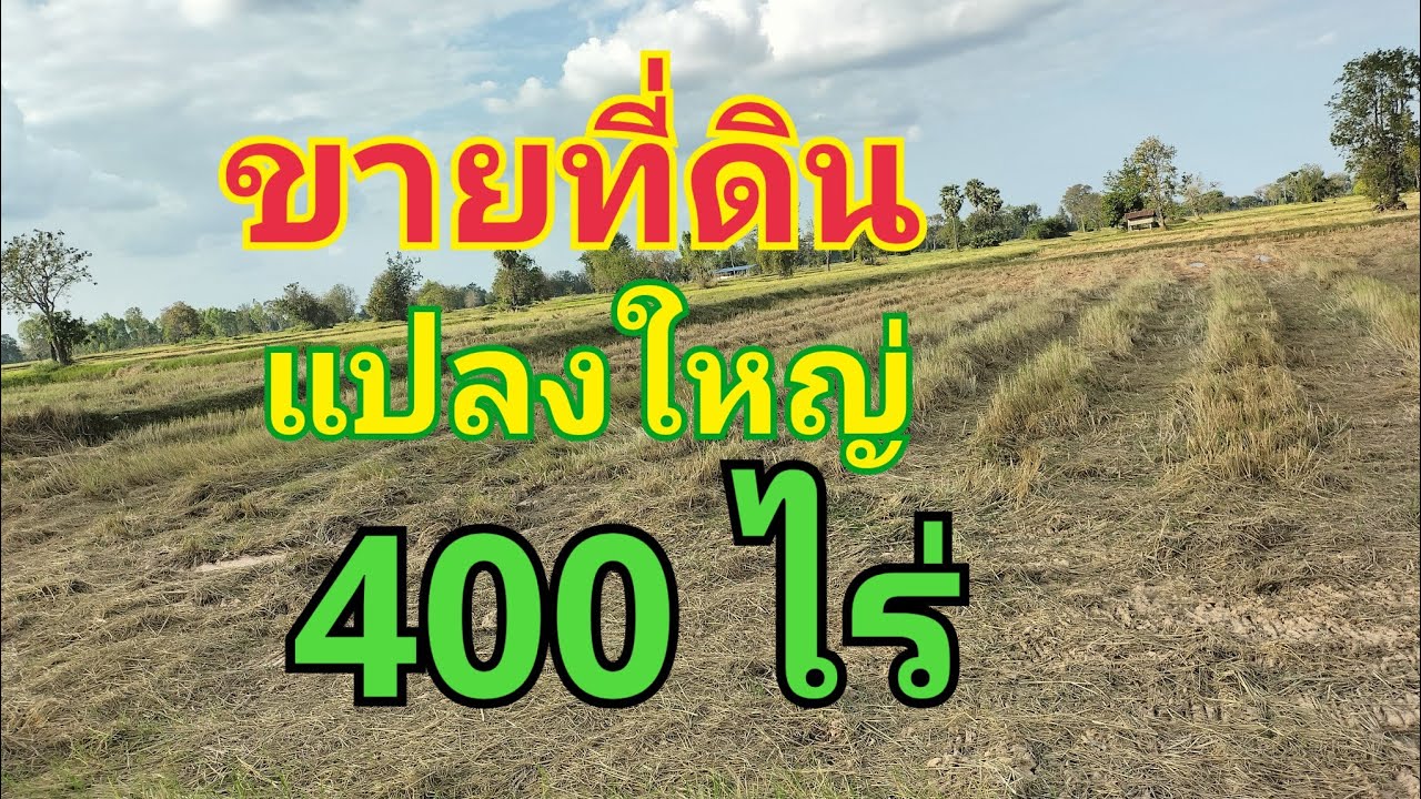 ขายที่ดินแปลงใหญ่เนื้อที่ 400 ไร่ ราคาไร่ละ200,000 บาท โทร.085-1046885