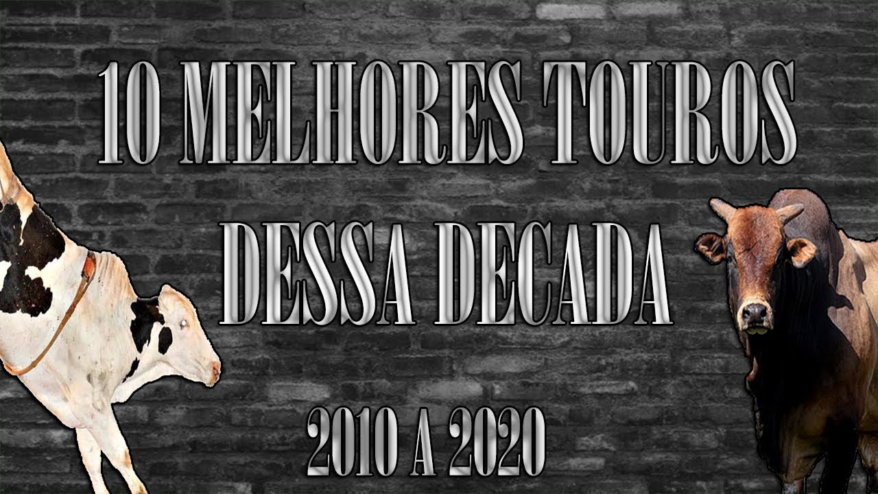 Folha.com - Cotidiano - Menos de 10% dos touros são bons para rodeio;  melhores chegam a custar R$ 90 mil - 22/08/2010