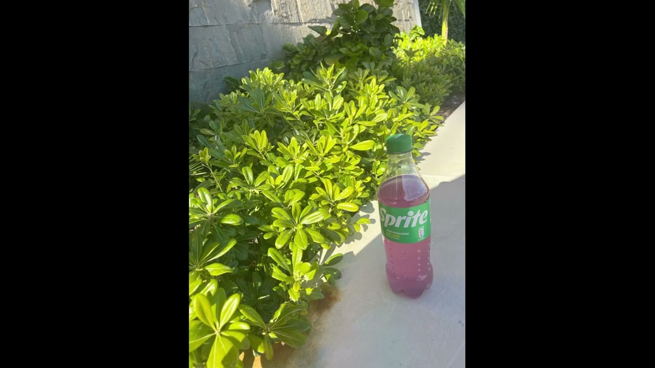 *free* jonny5 x zackavelli type beat - 