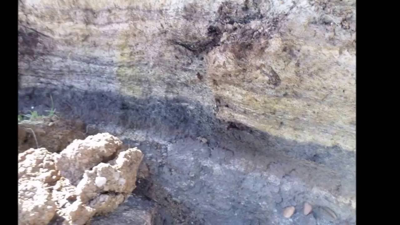 gold Prospecting rapahoe beach barrytown beach
