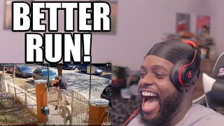 These People Were Getting Chased By DOGS Reaction 😂