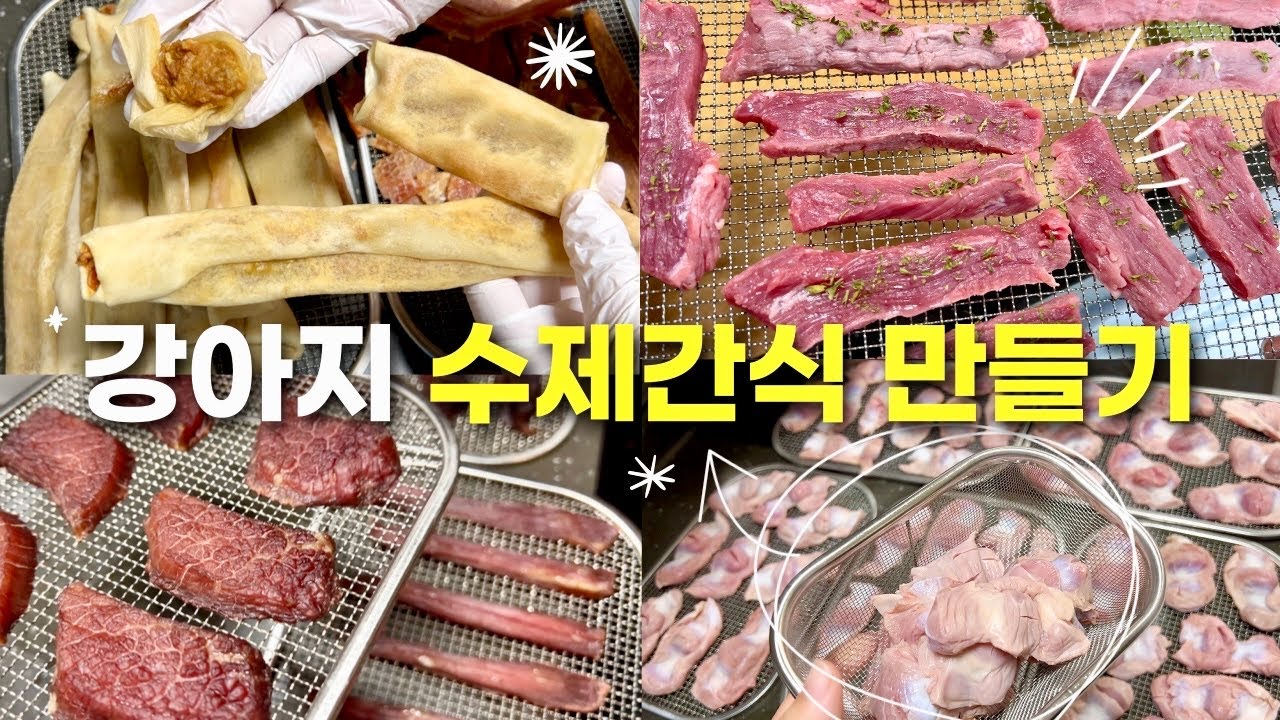 초간단 강아지 간식 만들기 🐶 +소독부터 손질까지 다알려드려요📝 닭, 오리, 소고기 손쉽게 육포 만들기 !!!