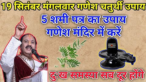 19 सितंबर मंगलवार गणेश चतुर्थी 5 शमी पत्र से अचूक उपाय करें |Ganesh chaturthi 2023 Pradeep Mishra ji