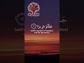 الجنة و الحرير لصابرين اكسبلور قران لايك Quran الجنة و الحرير لصابرين اكسبلور قران لايك Quran