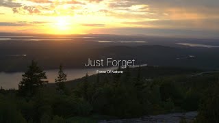 Force Of Nature - Just Forget 『Samurai Champloo OST』
