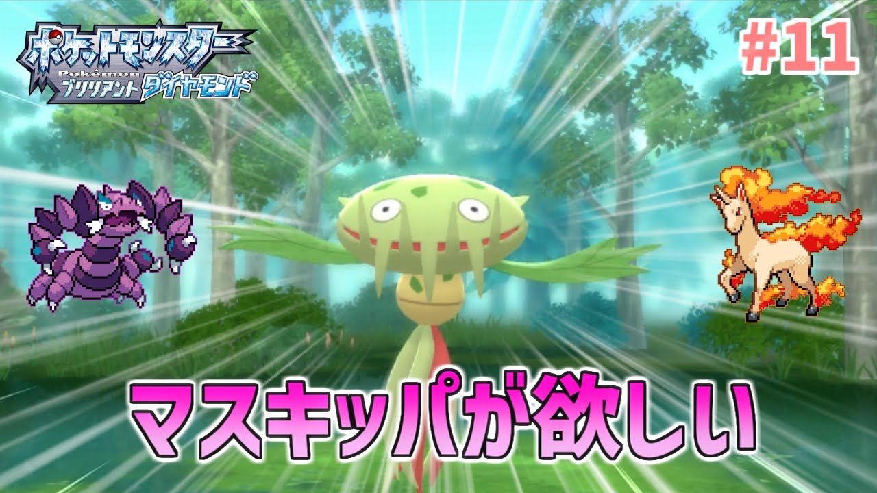 大湿原でマスキッパを狙う ポケモンダイパリメイク実況 11 Youtube