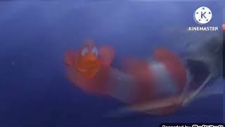 Barracuda Finding Nemo Attack Aittag Akttad Original 3D