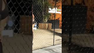 اطلالة هدي الاتربي من حفل شاهد