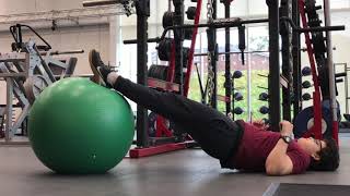 Stability Ball (SB) Reverse Plank Hold