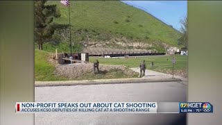 Nonprofit speaks out alleged cat shooting by sheriff&#39;s office staff