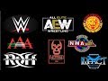 هل WWE هو الاتحاد الوحيد لمصارعة المحترفين في العالم 