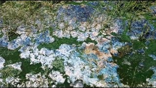 Celebrity Algae Corner: Toxic, Noxious, and Smelly Algae (part 2) Wealth