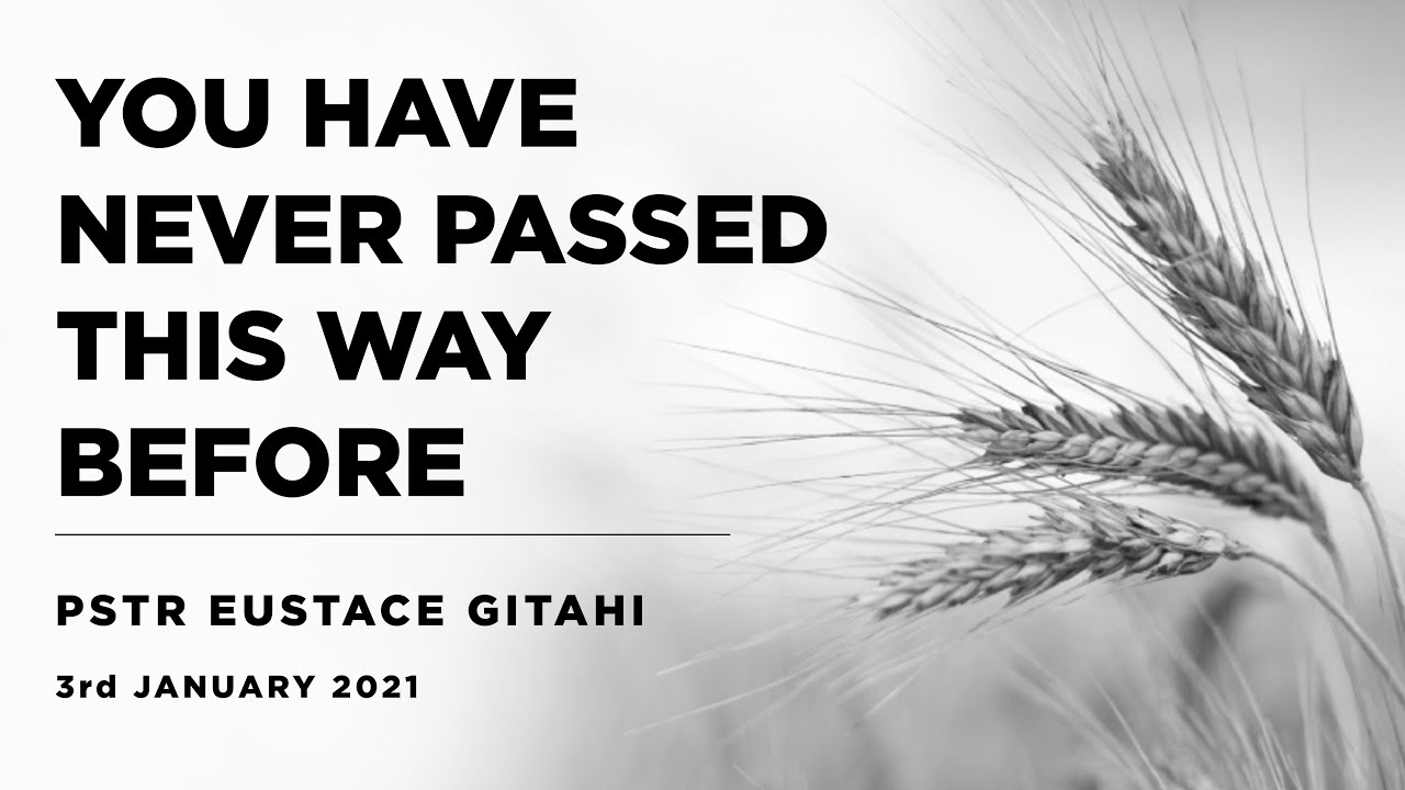 Motivation pictures gymaholic. Way before перевод. нэнси придди. That felt good. Way before перевод.