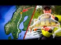 PERCH FISHING In Northern Of Sweden (Crazy Surface Strikes) | Team Galant