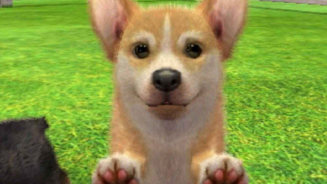 イヌ怖いけど触れ合うぞ Nintendogs Cats Youtube