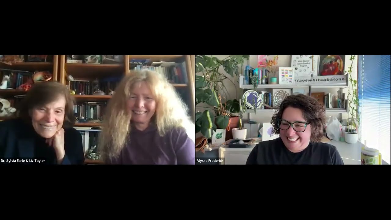 ABALONE! - Dr. Alyssa Frederick joins Dive In with Liz and Sylvia