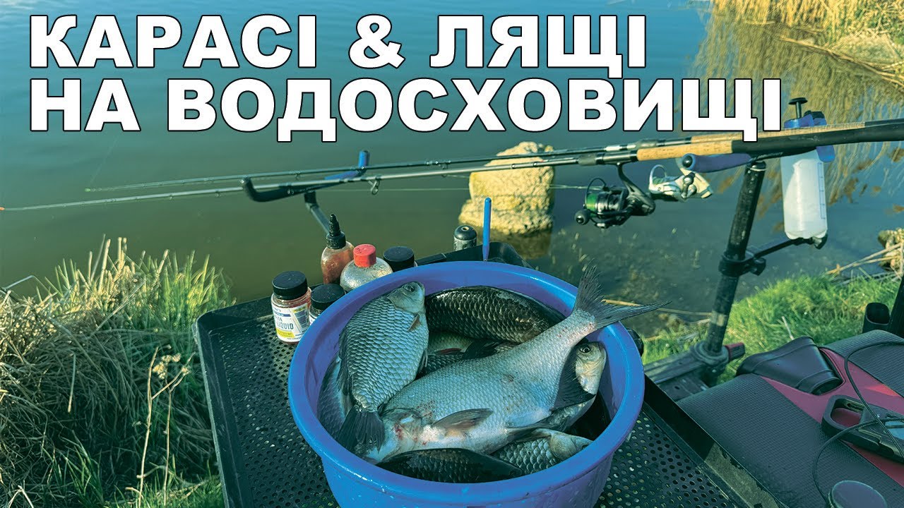 Як зловити карася і підляща на водосховищі весною - фідер, тактика, прикормка