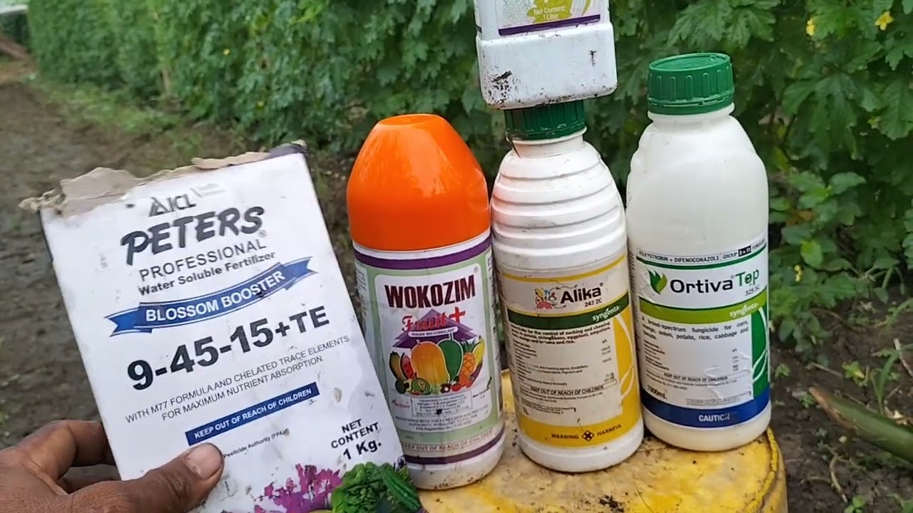 Magandang combination Ng Insecticide, fungicide, foliar at sticker sa Ampalaya 🥰 Ito Po ka farmers 👍