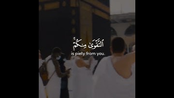 "لَن يَنَالَ اللَّهَ لُحُومُهَا وَلَا دِمَاؤُهَا ✨ ولكن يناله التقوى منكم | سورة الحج 37"