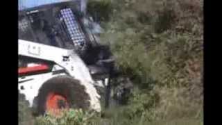 Land Shark Tree Saw