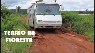 TENSAO E PERIGO NA VIAGEM PELA FLORESTA AMAZONICA | SERPIENTE VENENOSA EN LA SELVA | ESTRADA FAZENDA