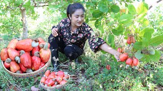 Pick Red Cashew Fruit From My Cashew Fruit Farm / Cashew Fruit Recipes / Cooking With Sreypov