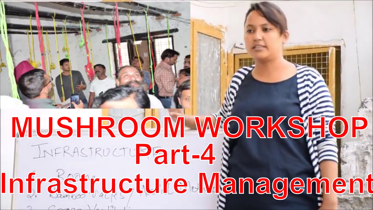 MUSHROOM WORKSHOP PART-4 By Mushroom Lady Divya Rawat(Infrastructure Management)