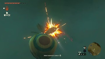 [DAY 462] of finding one korok seed in TotK everyday until we get them all