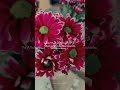 اللهم قوني بك حين يقل صبري