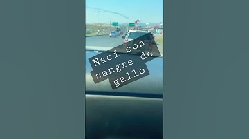 Thumbnail of Nací con sangre de gallo / huracanes 2023 Marungo45 suscríbete