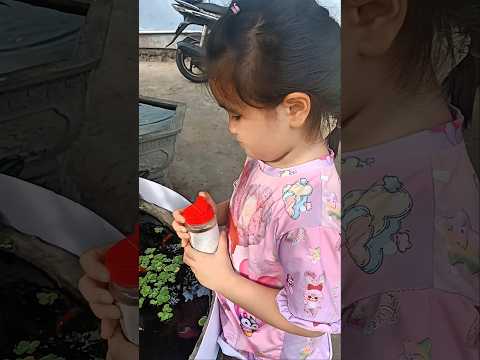 Nhi cho cá