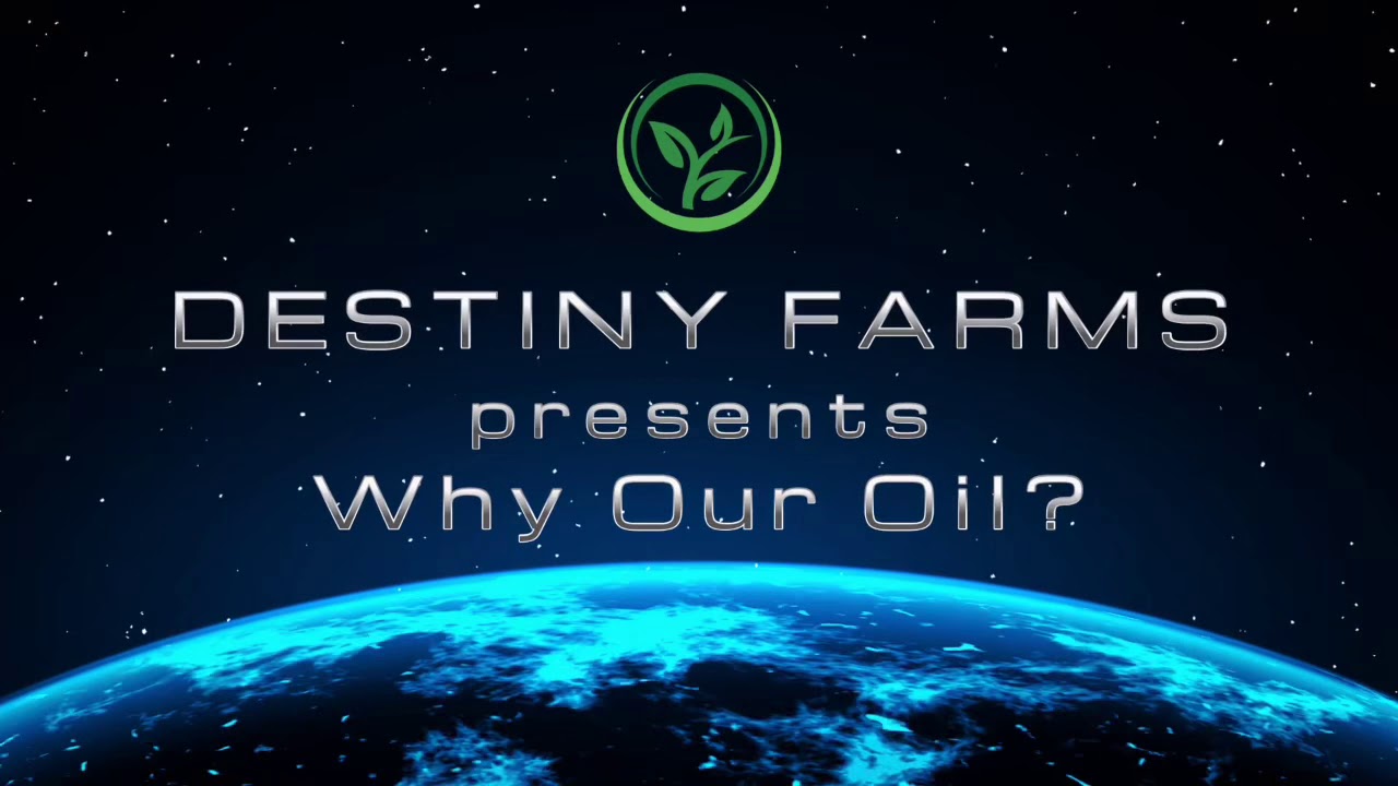 Destiny Farms Why Our Oil? YouTube