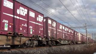 8050レ EF65 2076 約4時間遅れ