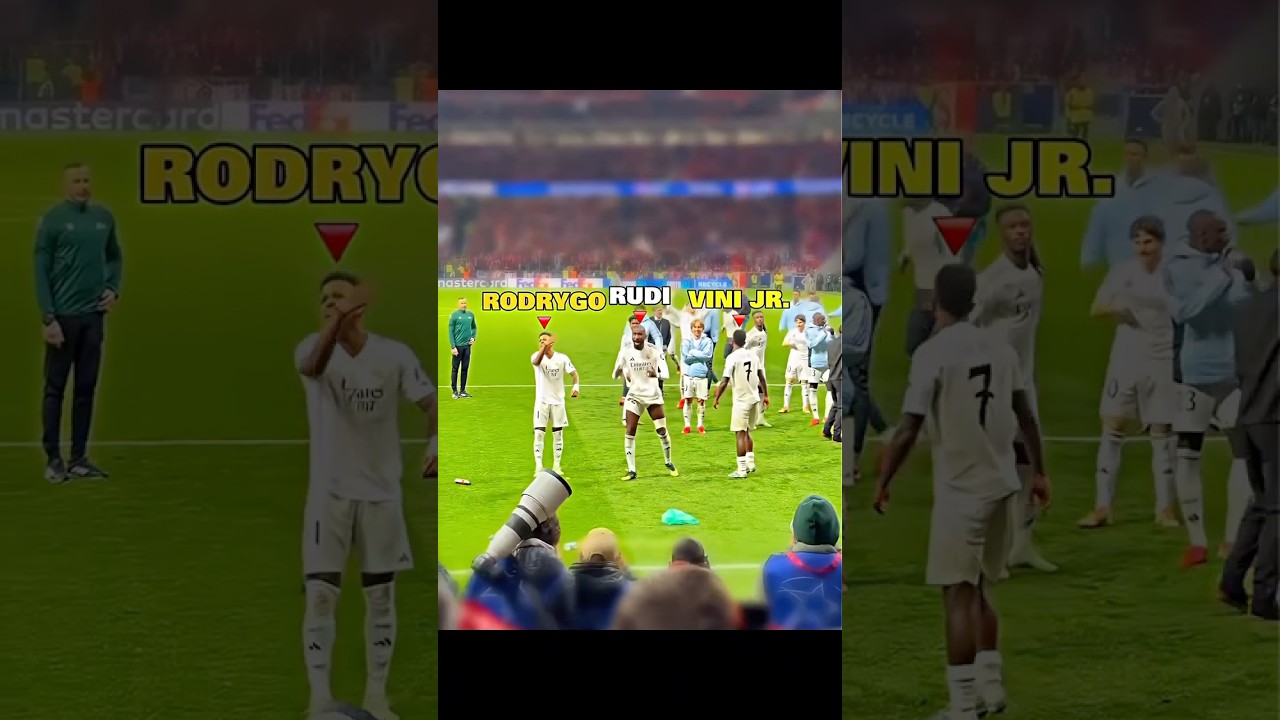 Players vs Fans 😱
