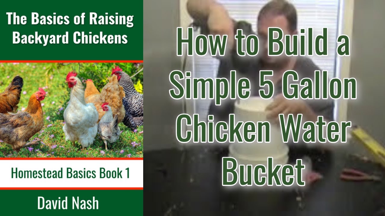 How to Build a Simple Chicken Watering System | 5 Gallon Bucket Chicken ...