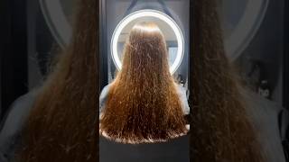 How Remove Split Ends Naturally At Home/Get Rid Of Split Ends & Damaged Hair #shorts #ytshorts #diy