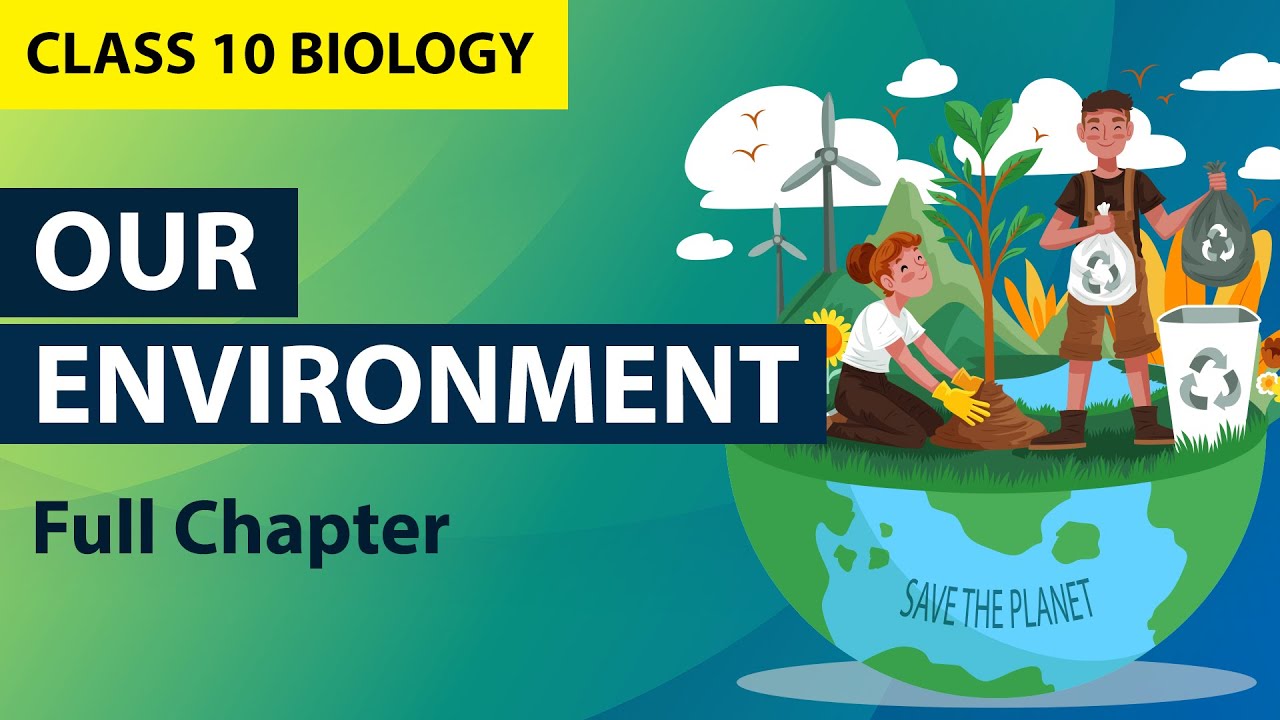 Our Environment in Full chapter Animation  CBSE Class 10 Biology ch13  ecosystem  NCERT Science