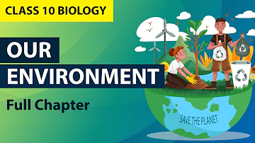 Our Environment in Full chapter (Animation) | CBSE Class 10 Biology ch13 | ecosystem | NCERT Science