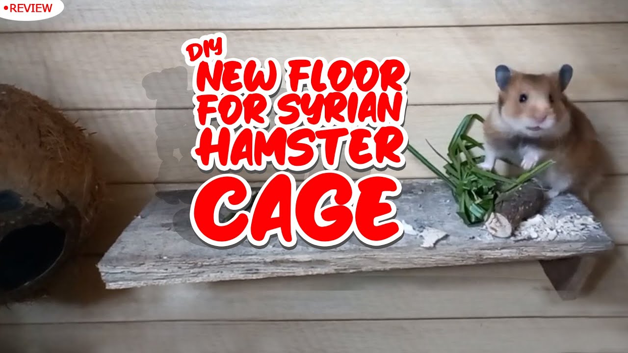 Image showcasing Diy hamster cage for syrian hamster review new level adding floor - YouTube