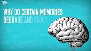 5 Mysteries Parts of The Brain Neuroscientists Can't Explain...