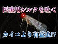 【ゆっくり生物】プラスチックもナノ分解できる「トビケラ」とは？再生医療に使われるシルクネットがすごすぎた！