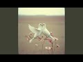 ع ل ى س ن ة ال ه د ى نشيد زواج إسلامي Islamic Wedding 